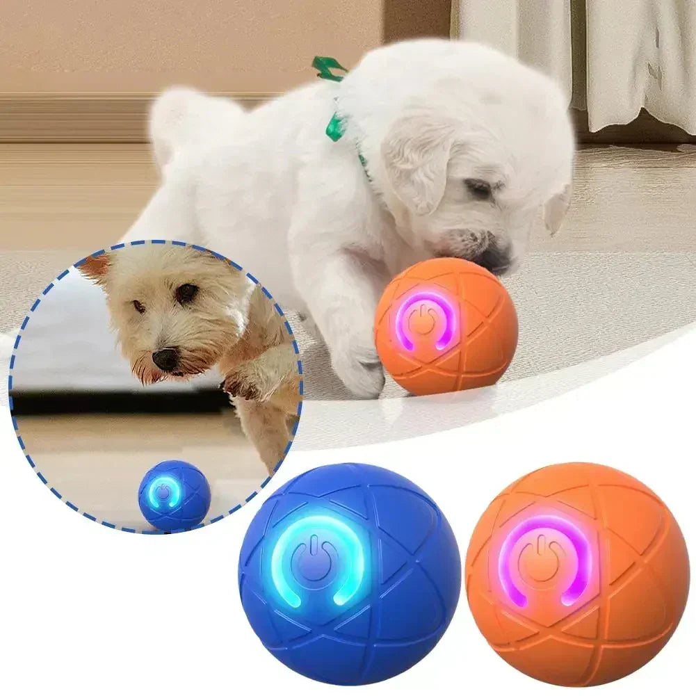 Interaktives Ballspielzeug für Katzen & Hunde – Automatisch & ferngesteuert