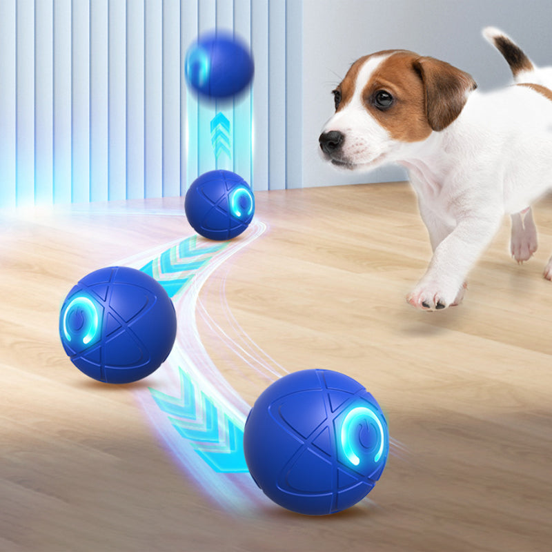 Interaktives Ballspielzeug für Katzen & Hunde – Automatisch & ferngesteuert