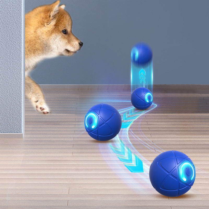 Interaktives Ballspielzeug für Katzen & Hunde – Automatisch & ferngesteuert