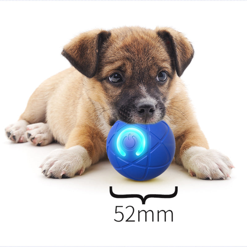 Interaktives Ballspielzeug für Katzen & Hunde – Automatisch & ferngesteuert