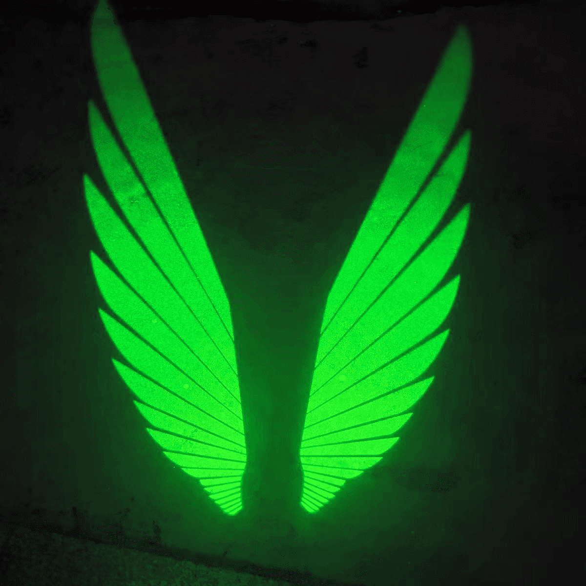 Engelsflügel-Pfützenlichter universal