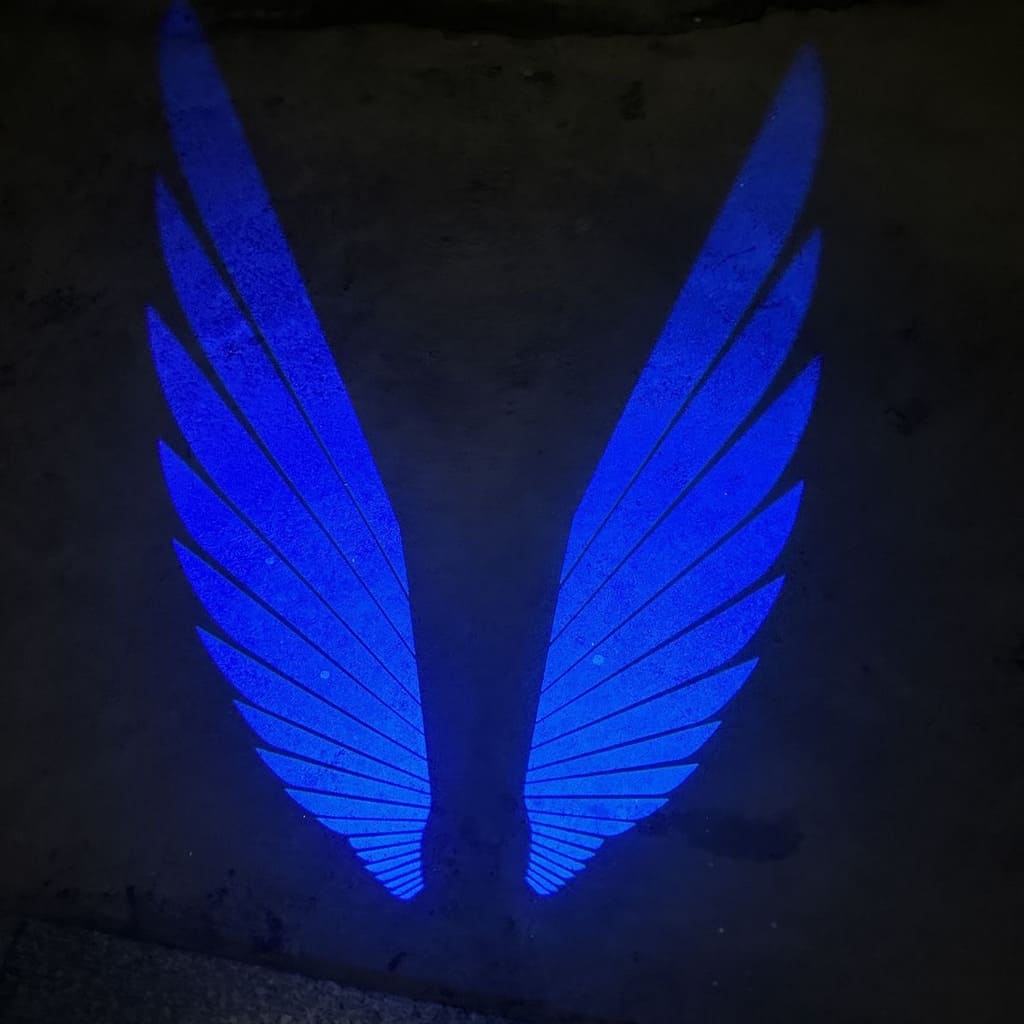 Engelsflügel-Pfützenlichter universal